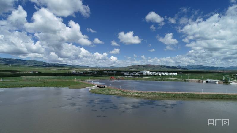 樊永涛|【海晏河清看青海】守护母亲河——大湖之北碧波清