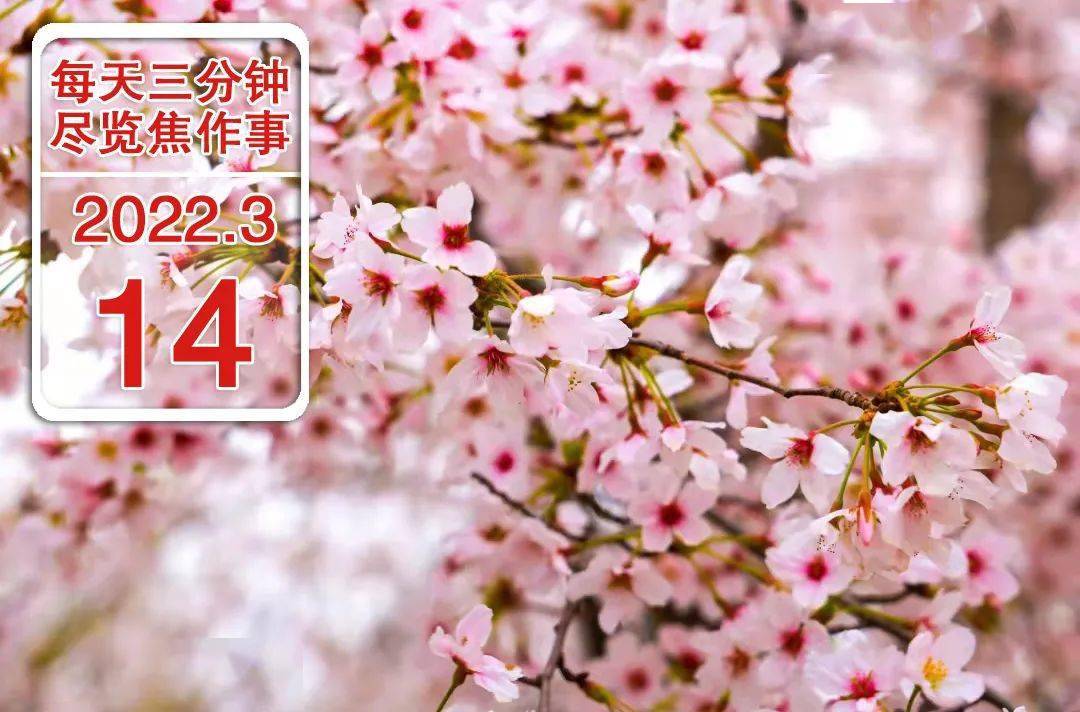 3月14日焦作热点早点看丨焦作市药学会召开2021年度总结表彰大会