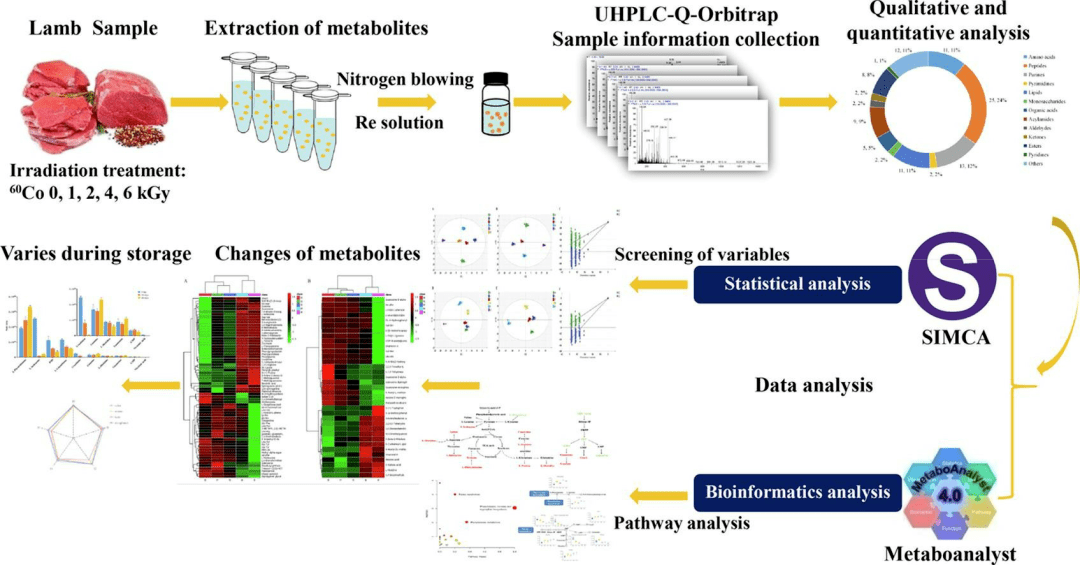 非靶向代謝組學在動物營養品質研究應用