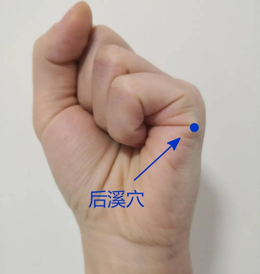 后溪_治疗_主治