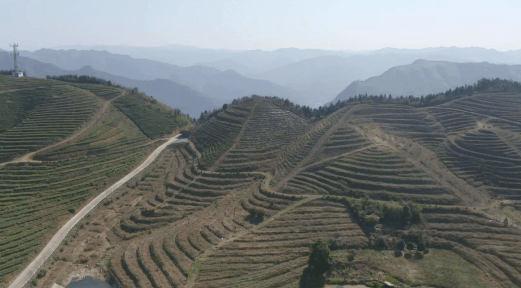 双牌云台山茶场图片