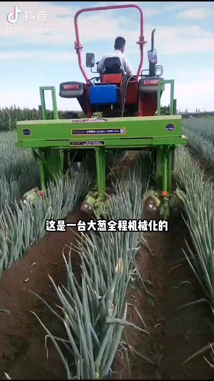 大葱机械化种植1个人种够1万人吃农业机械中国国际农机展蟹稻家李晓东