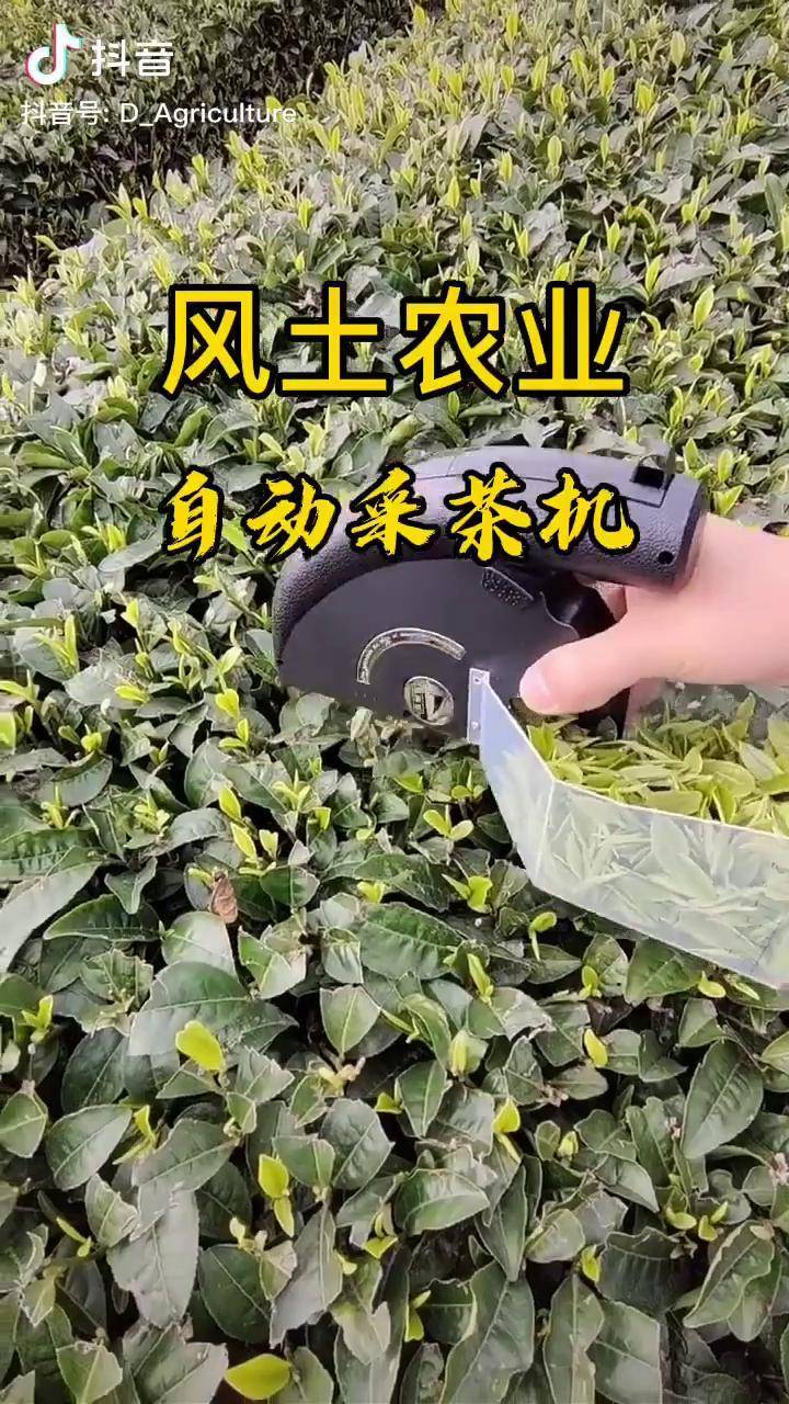 风土农业自动采茶机抖音热门