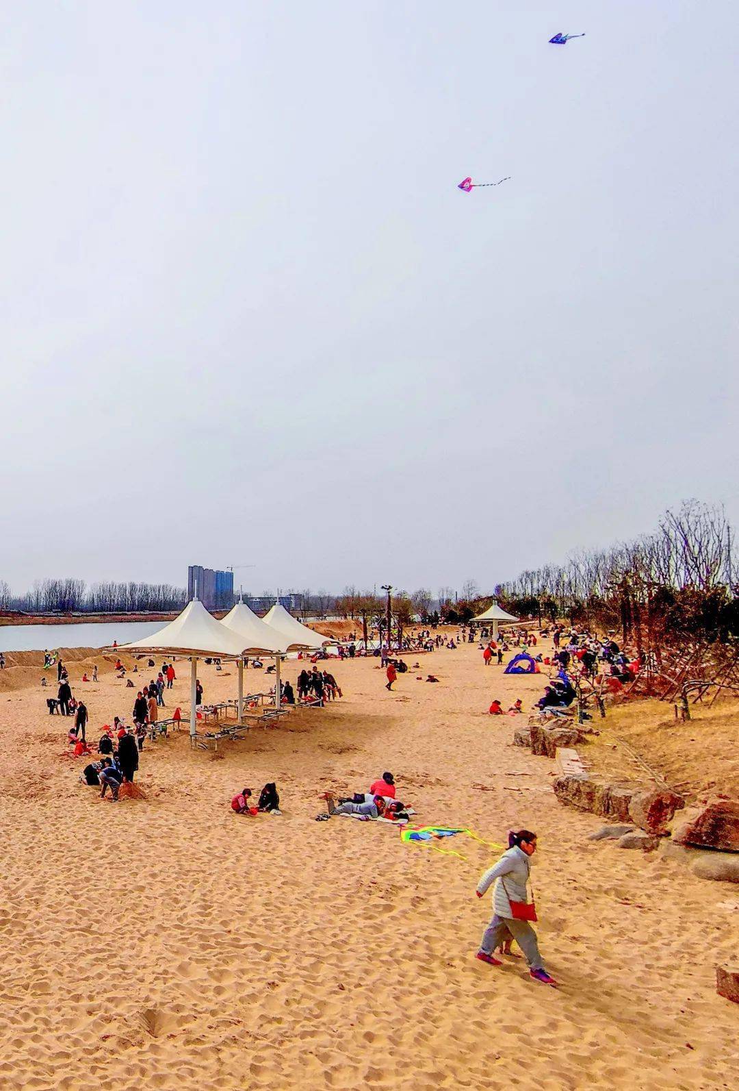 菏泽城区新增一处人工沙滩主题公园位置在这里