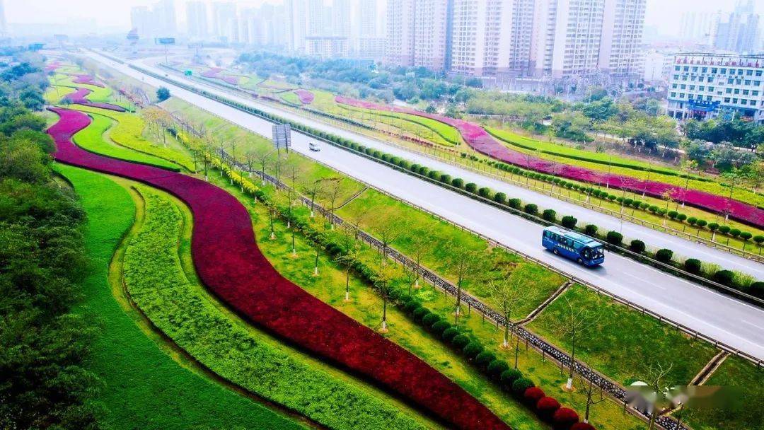 绿化带_景观_养护