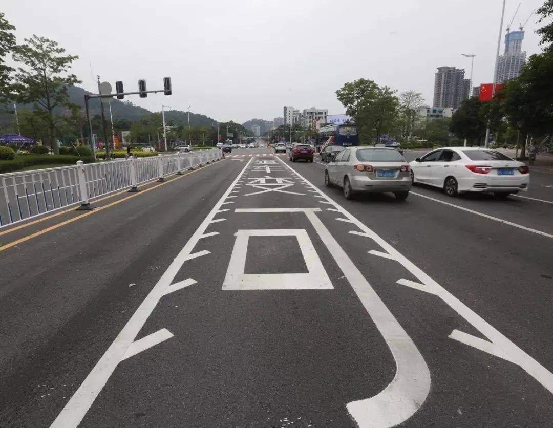 不认识这8种标线5本驾照都不够扣