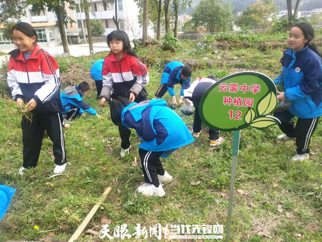 贵定县云雾中学:体验农耕乐趣 美化校园环境_劳动_活动_实践