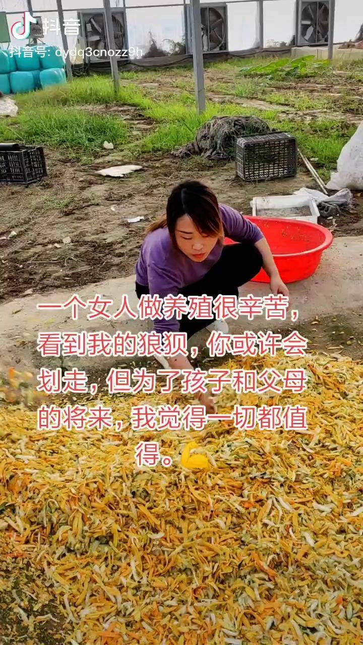 我的农村生活干活我是认真的努力工作的女人很美