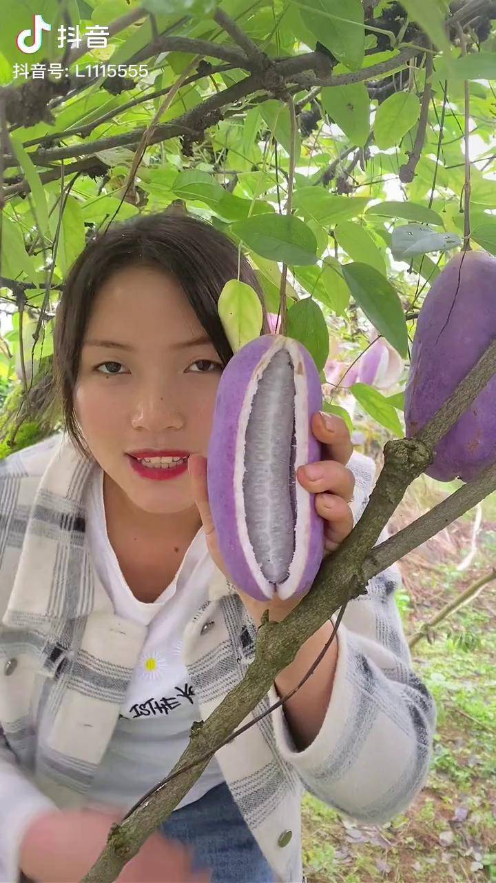 八月瓜马上熟了