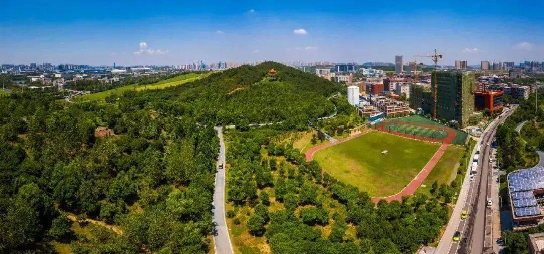 光谷中心城临湖大平层中产精英扎堆来买