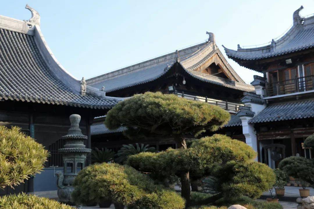 你的善良就是你的福