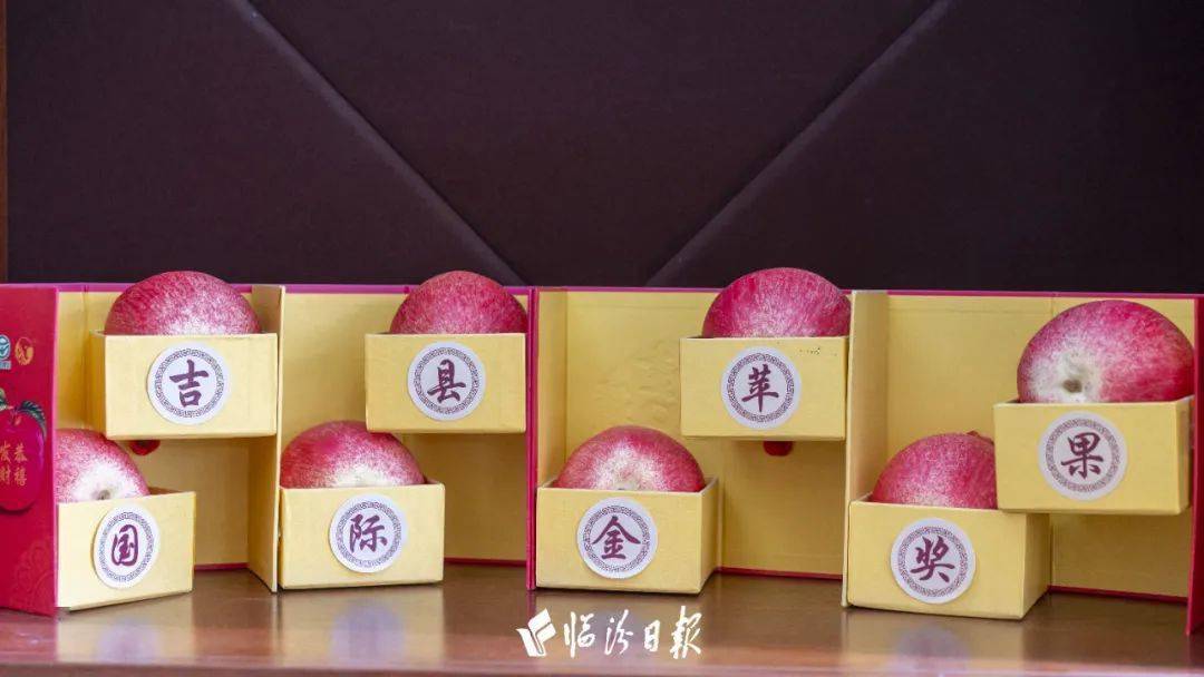 来认识一下吉县苹果哥