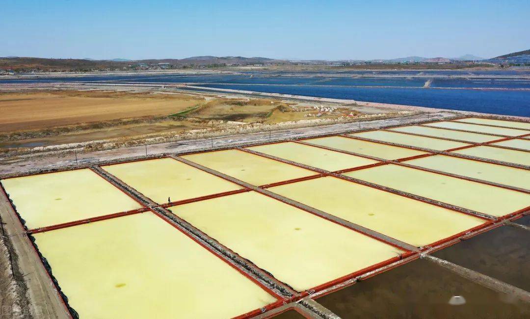 连云港,盐城,南通,淮安的淮盐人付出很多_盐场_淮北_徐圩
