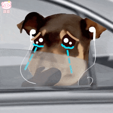 老天爷 赏点钱吧你可真幽默啊点个"在看"不失联返回搜狐,查看更多