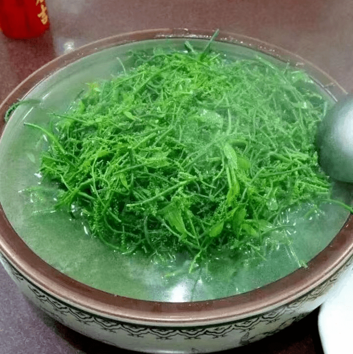120元一斤的野菜文山人竟"抢"着吃!_雷公_店里_顾客