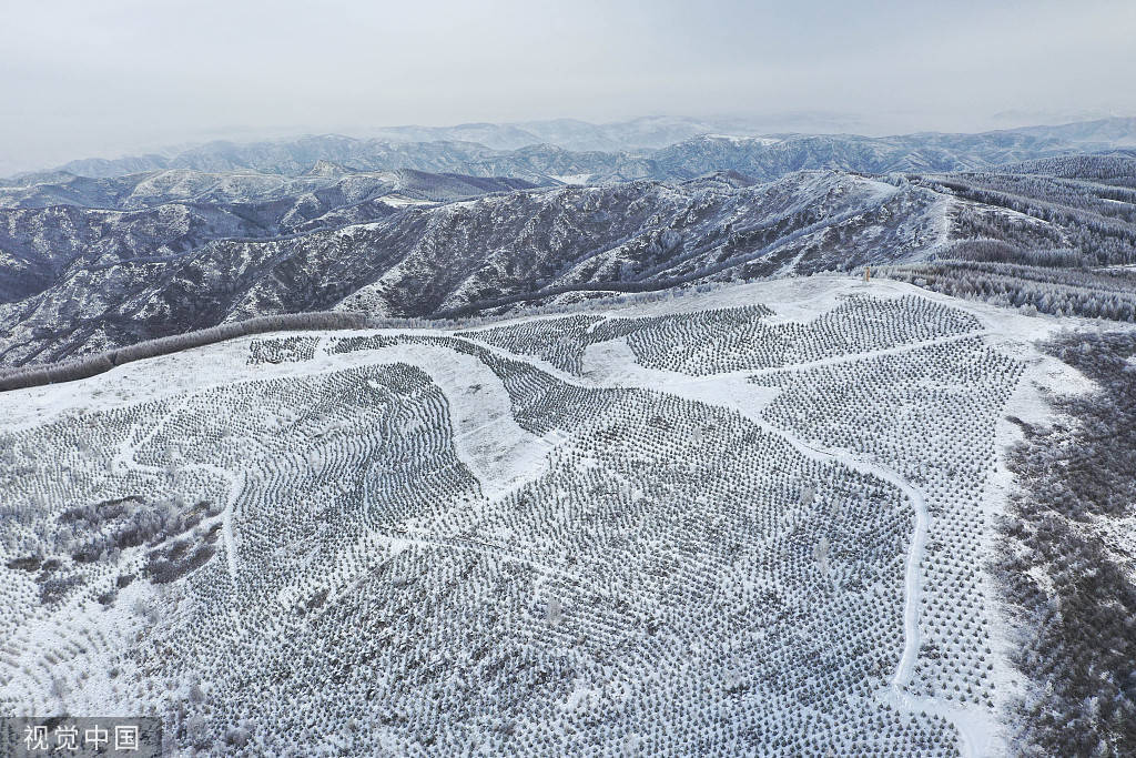 崇礼|河北崇礼：雪后暂霁 高山雪道被白雪覆盖