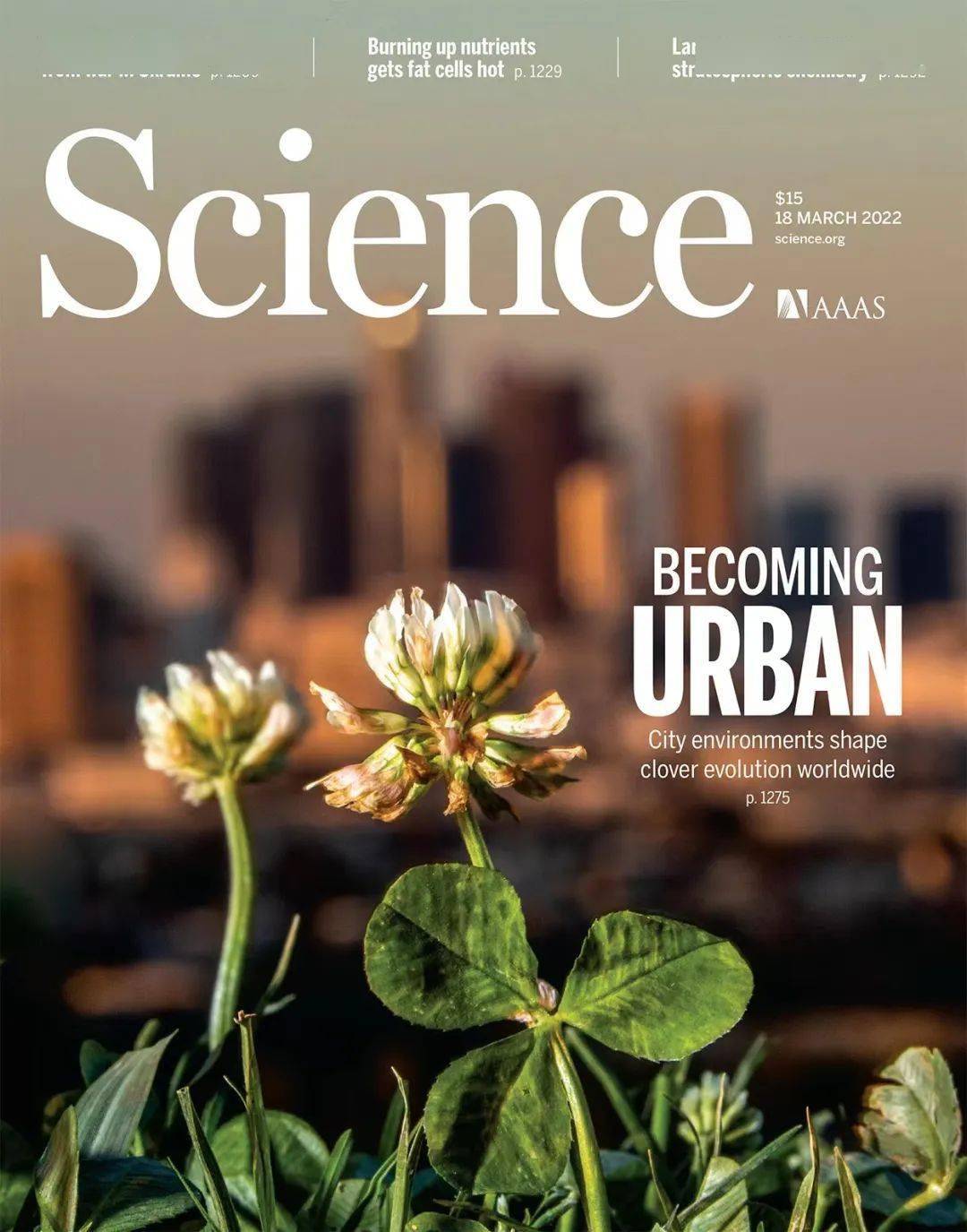 重磅！北工大科研成果首登《Science》！_论文_国家_科技