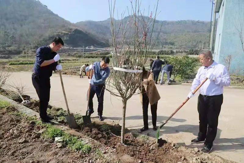 为家园添点绿象山各地新时代文明实践志愿服务分队开展义务植树活动