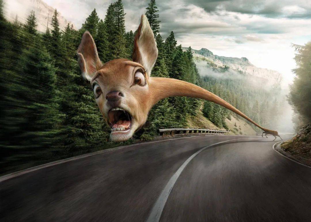 20组平面广告海报设计,简直是神仙创意!