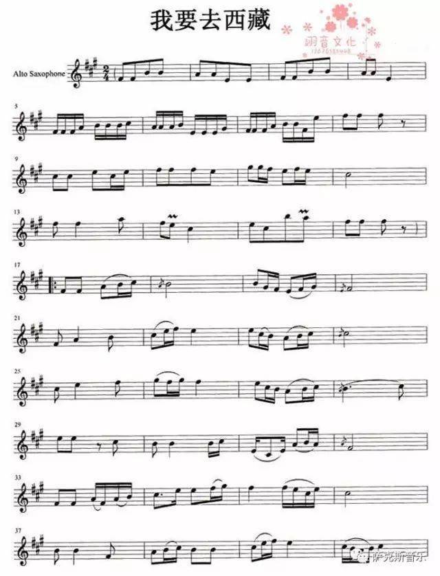 仰望雪域两茫茫我要去西藏雪莲花盛开在我的心房习惯了孤独黑夜漫长