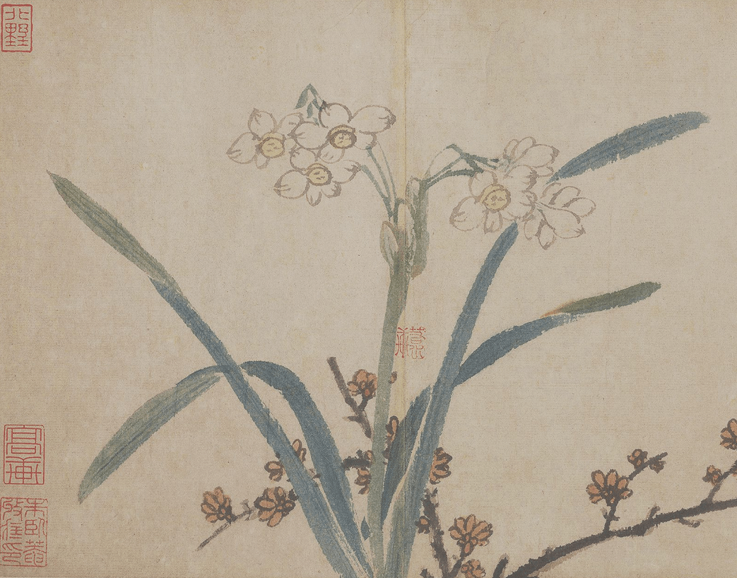 水仙陈淳 书画图明 周天球 水仙明 周天球 水仙汪士慎 湖石水仙图佚名