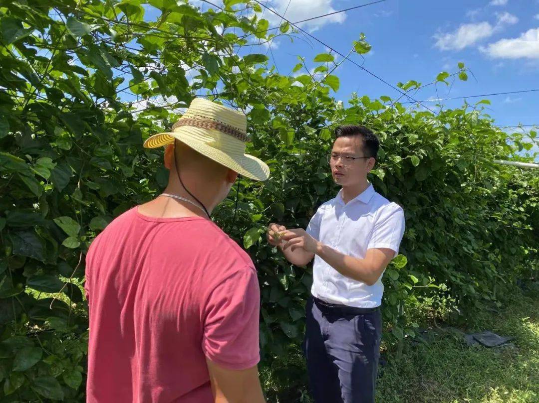 广西藤县各镇镇长书记图片