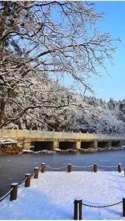 部分图片源自醉美邛崃拍雪景去天台山和南宝山拍茶田去茶田露珠或者