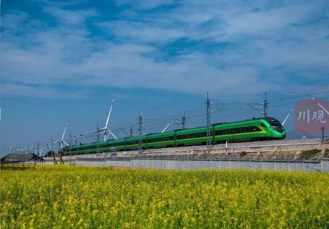的"复兴号"动车行驶在凉山州西昌市境内,铁路两边的油菜盛开正艳