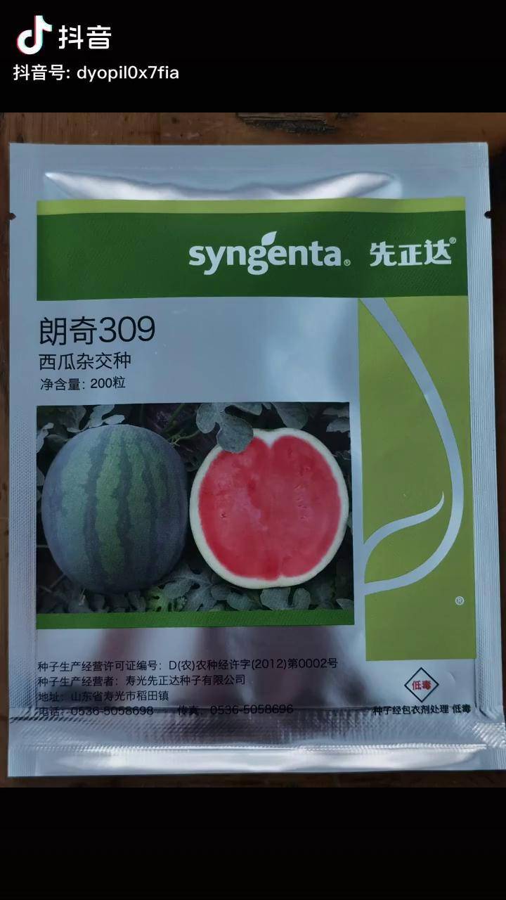 优质种子先正达西瓜吃瓜群众西瓜大西瓜