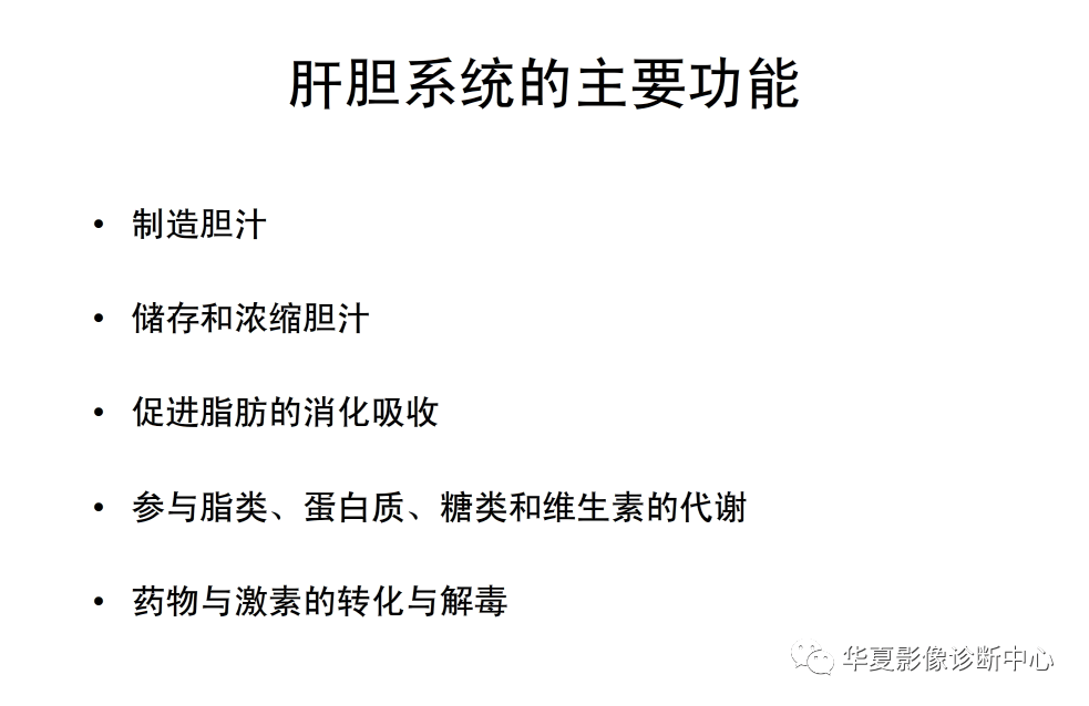 解剖|肝脏影像学与系统解剖