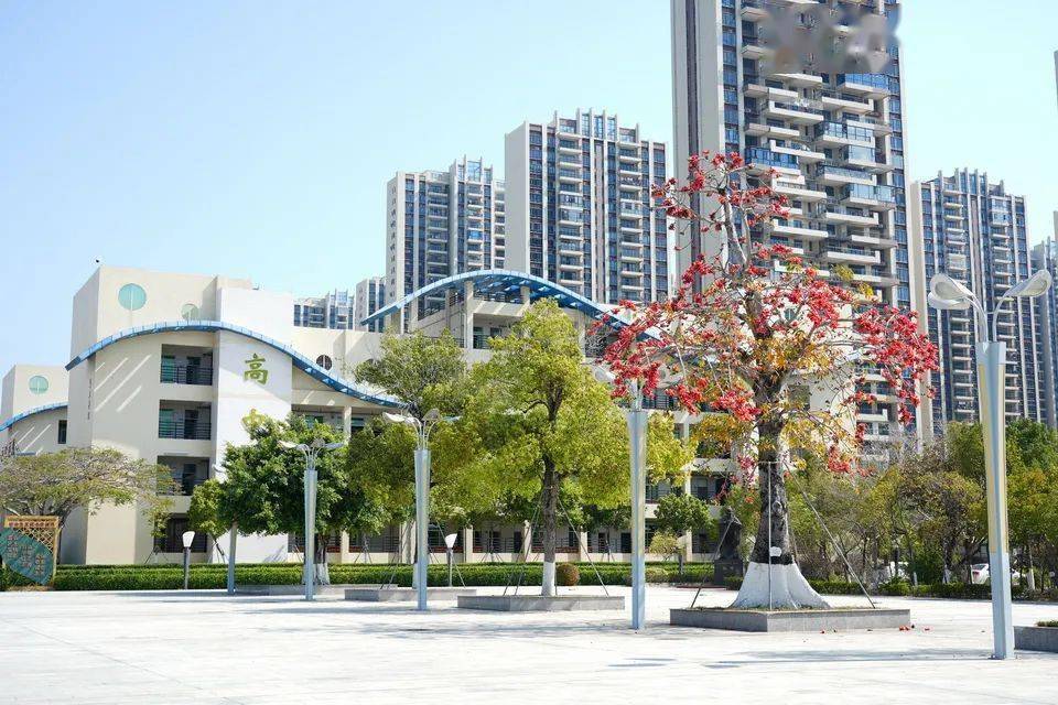 春有约,花锦绣,春意盎然在华附!_树春风_校园_汕尾