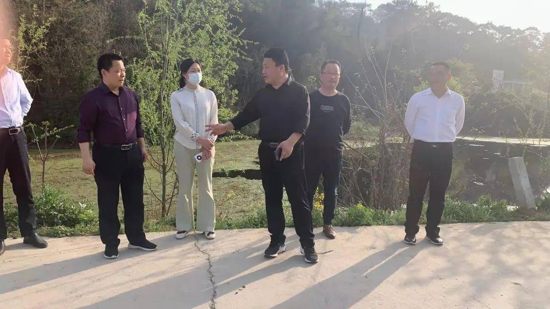 乡投公司等单位到白山镇,实地查看2022年文旅项目,县文旅局党组书记