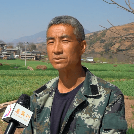 宾川:高标准农田唱响致富曲_平川镇_农业_建设