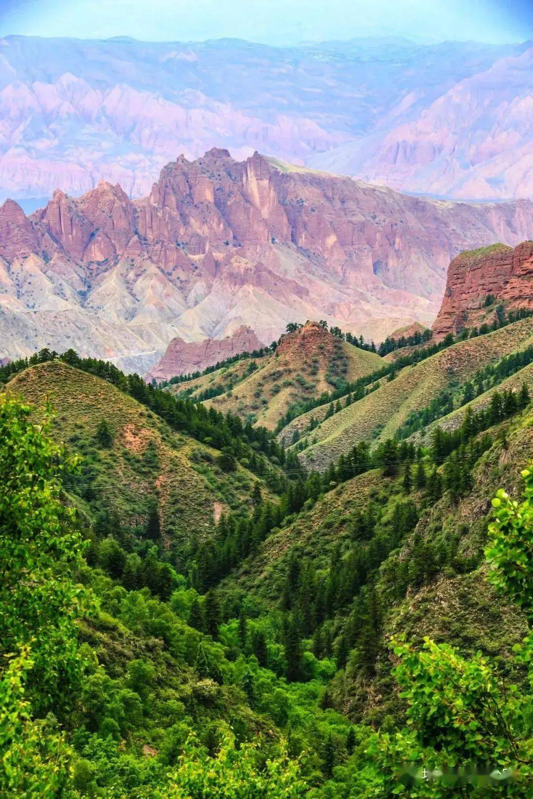 【共同关注】来灵秀尖扎 体验黄河廊道民俗文化风情