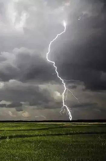 春分后五日,下雨时天空便要打雷.候二雷乃发声春分之日,玄鸟至.