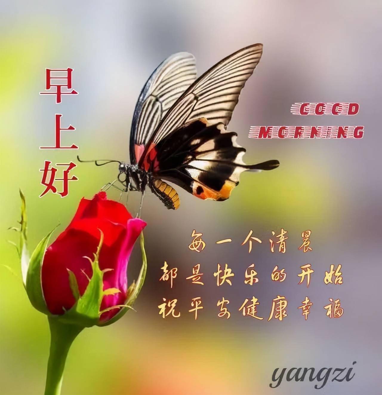 早安吉祥珍惜每一段不可复制的时光便是对生命最好的善待