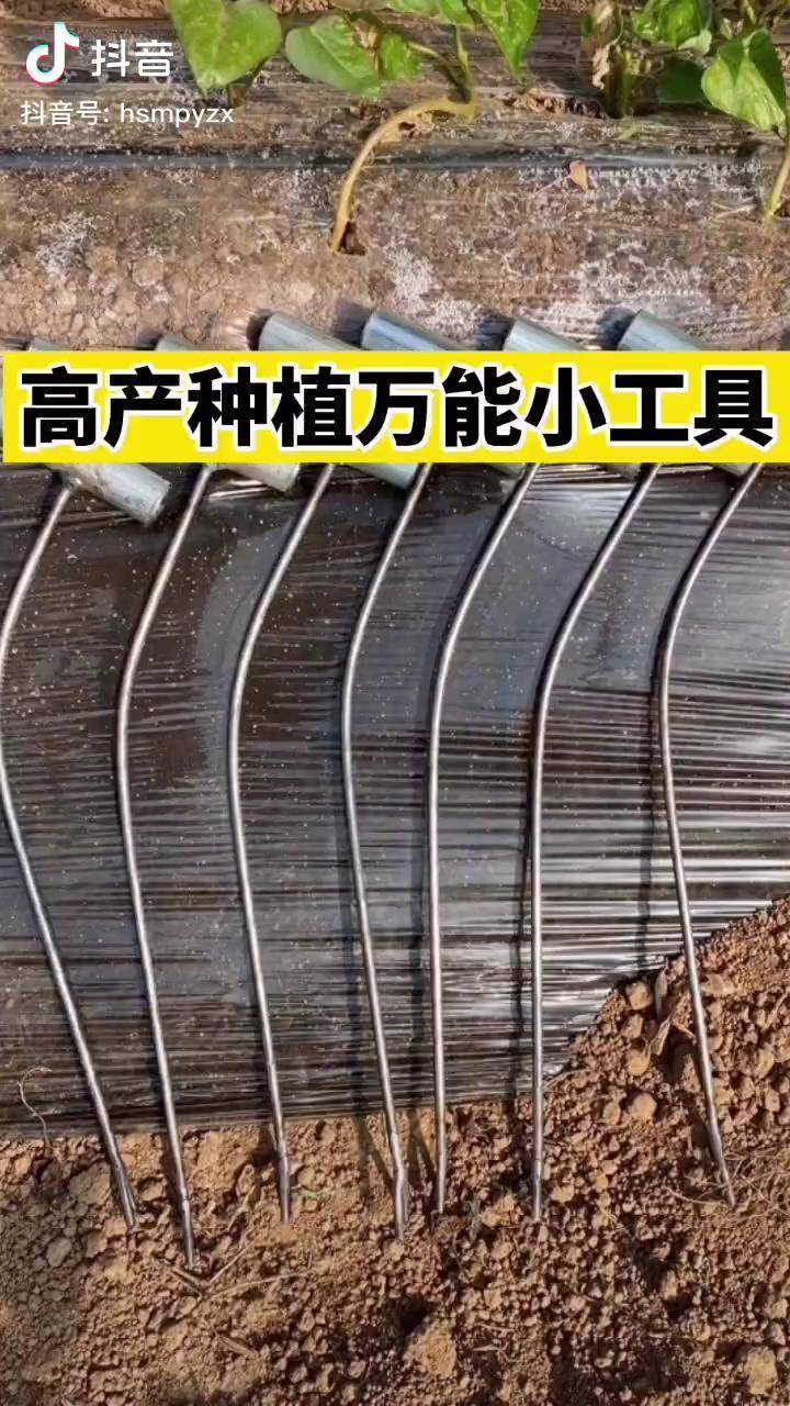 种植技术红薯栽苗器简单实用可以平栽斜栽完美的提升种植效率红薯种植
