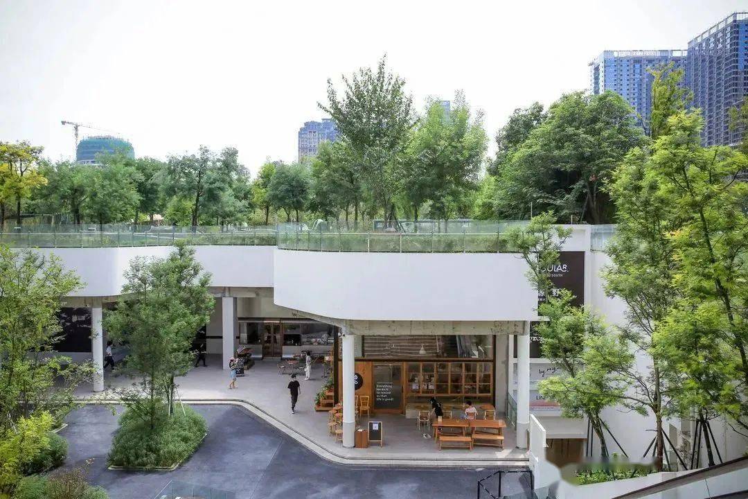 �ɶ�2021�������׵�801�ң��������Ϻ�������