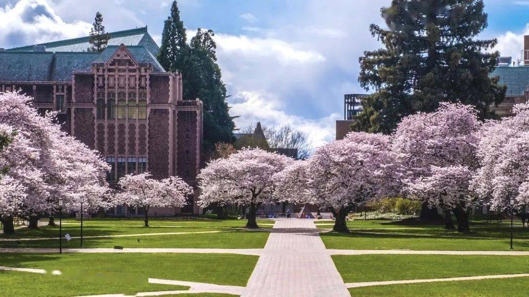 2026届huskies看过来你离华大还差一份新生群