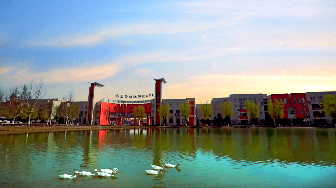 高职自主招生北京劳动保障职业学院2022年新增三个专业