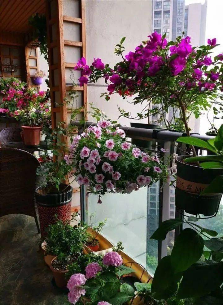 6款阳台花园上百种花草精致又美丽