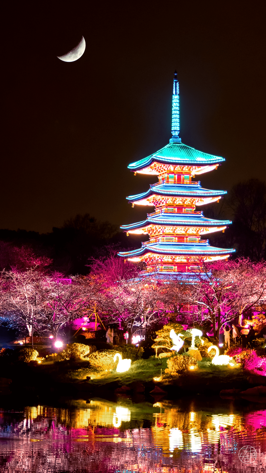 东湖樱花壁纸新鲜出炉让樱花在手机里动起来