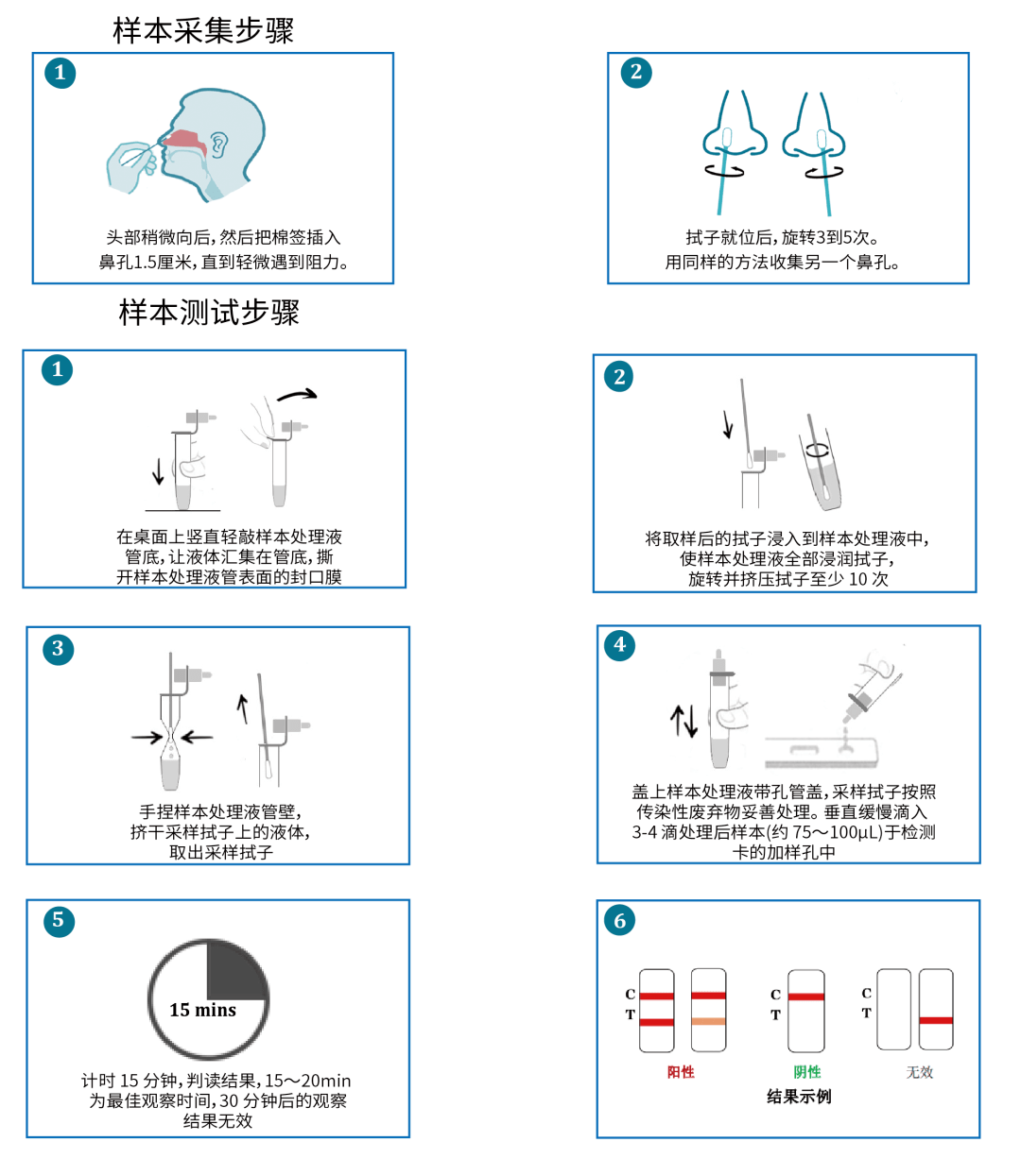 核酸试纸怎么用图片