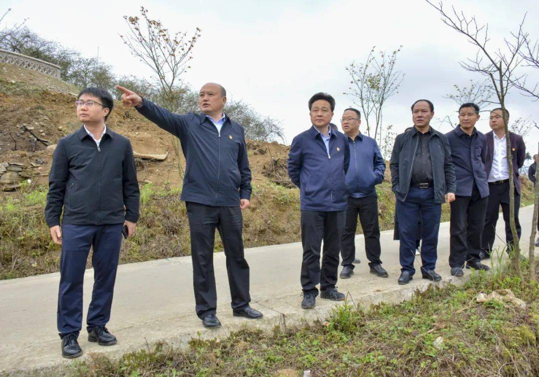 杨桦到化起镇调研巩固拓展脱贫攻坚成果同乡村振兴有效衔接和春耕生产