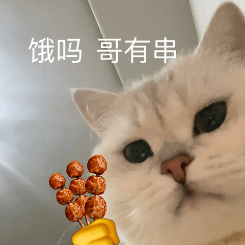 饿吗,哥有串丨第351期喵表情包_tou_星标_青年