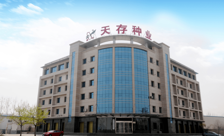 名企展示|河南天存种业科技有限公司_周麦_新品种_小麦