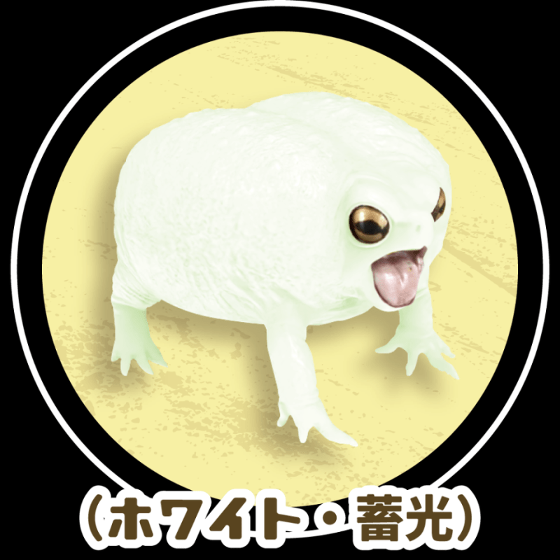 Frog|模玩资讯：SO-TA 拟真生物第四弹 1/1 散疣短头蛙&蜡白猴树蛙扭蛋