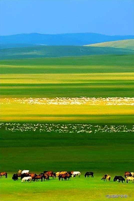 从照片走出来的春天绝美