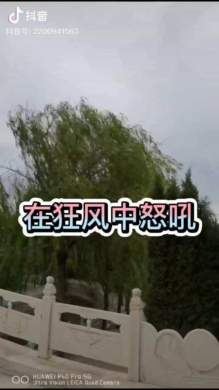 在狂风中怒吼我要上热门