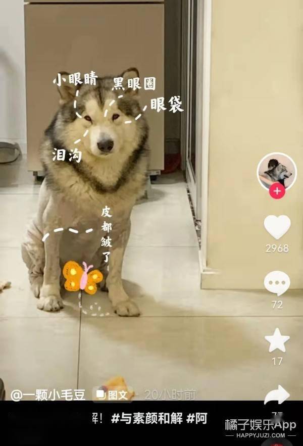 什么素颜